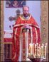 Photo of Fr. Robert giving a Sermon